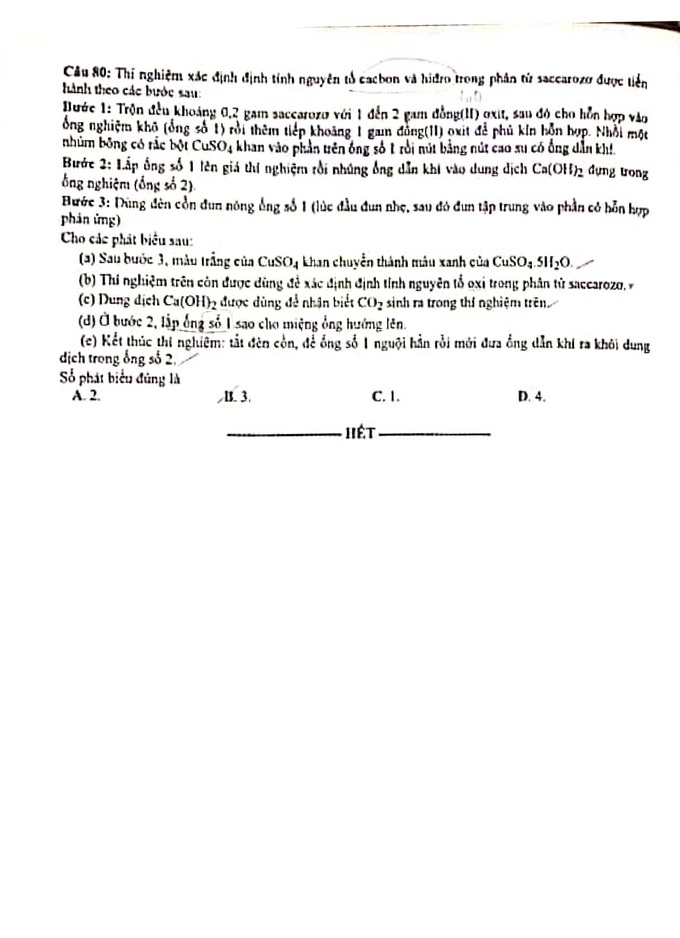 217_hoa_3