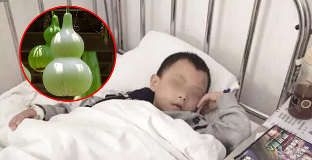 Bé trai bị ngộ độc sau khi ăn món bầu xào