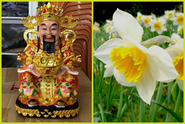 nhung-loai-hoa-danh-thuc-tai-loc-sang-dat-ban-tho-than-tai-chieu-gap-may-loai-hoa-danh-thuc-than-tai-phunutoday9-0850-1576649580-180-width600height402