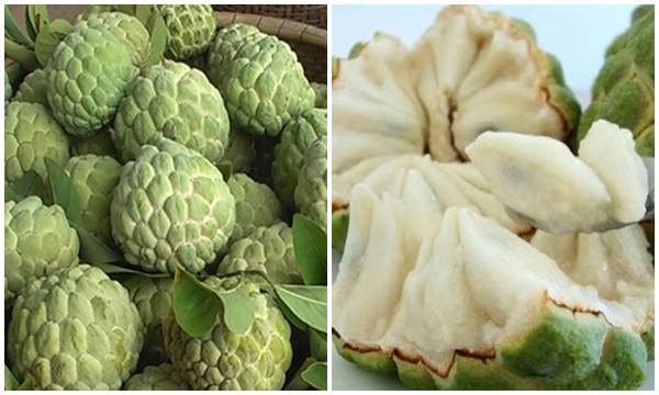 Để lựa mua được na dai hoặc na bở, người mua hãy chú ý mắt na, cuống na, núi na, vỏ na