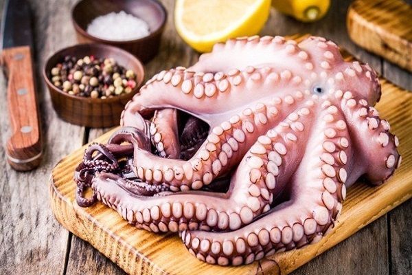 Chọn bạch tuộc tươi ngon