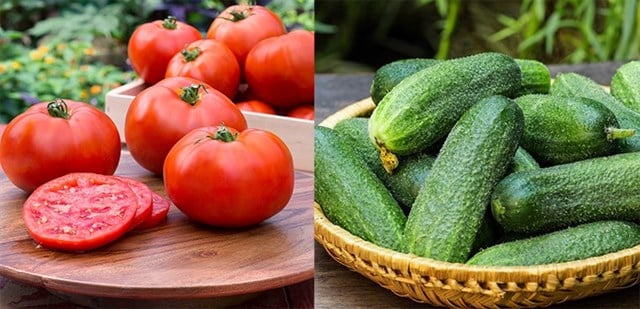 Cà chua và dưa chuột kỵ nhau
