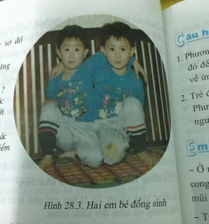 Hình ảnh cặp đôi từng xuất hiện trong sách giáo khoa Sinh học 9