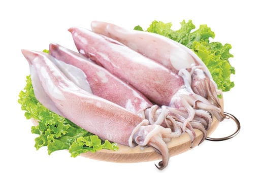 Mực tươi ngon không có mùi khó chịu và không trắng quá mức còn con