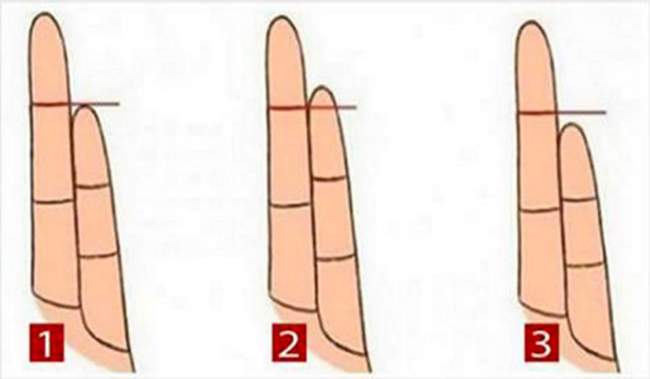 Nhìn vào khoảng cách của ngón đeo nhẫn và ngón út