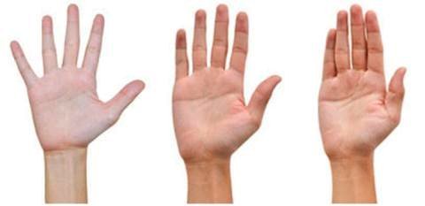 Nhìn vào khoảng cách ngón đeo nhẫn và ngón út 