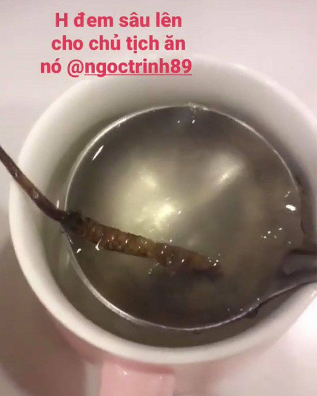 bi-quyet-chong-gia-cua-ngoc-trinh-02