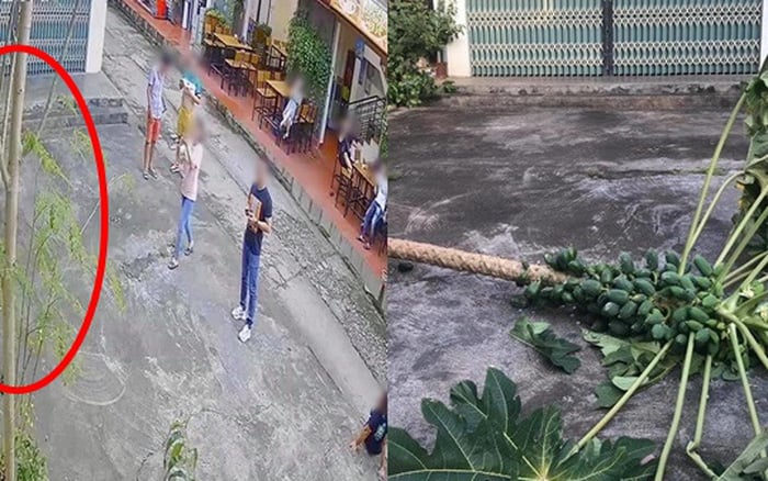 Hình ảnh trích xuất từ camera ghi lại hành động thiếu ý thức của nhóm du khách
