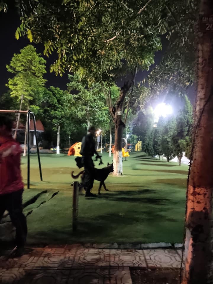 Lực lượng chức năng mang theo chó nghiệp vụ để tìm kiếm