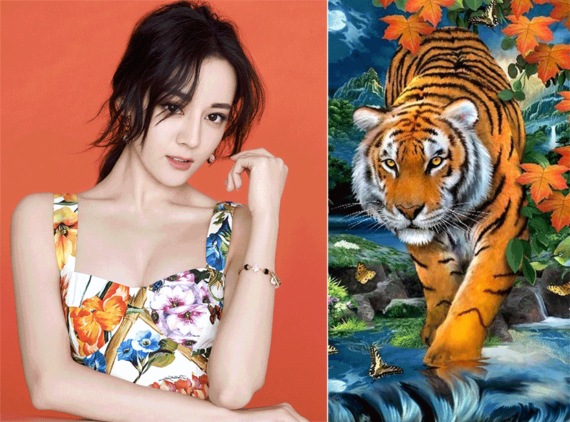 Tuổi Dần may mắn trong ngày thứ Ba 