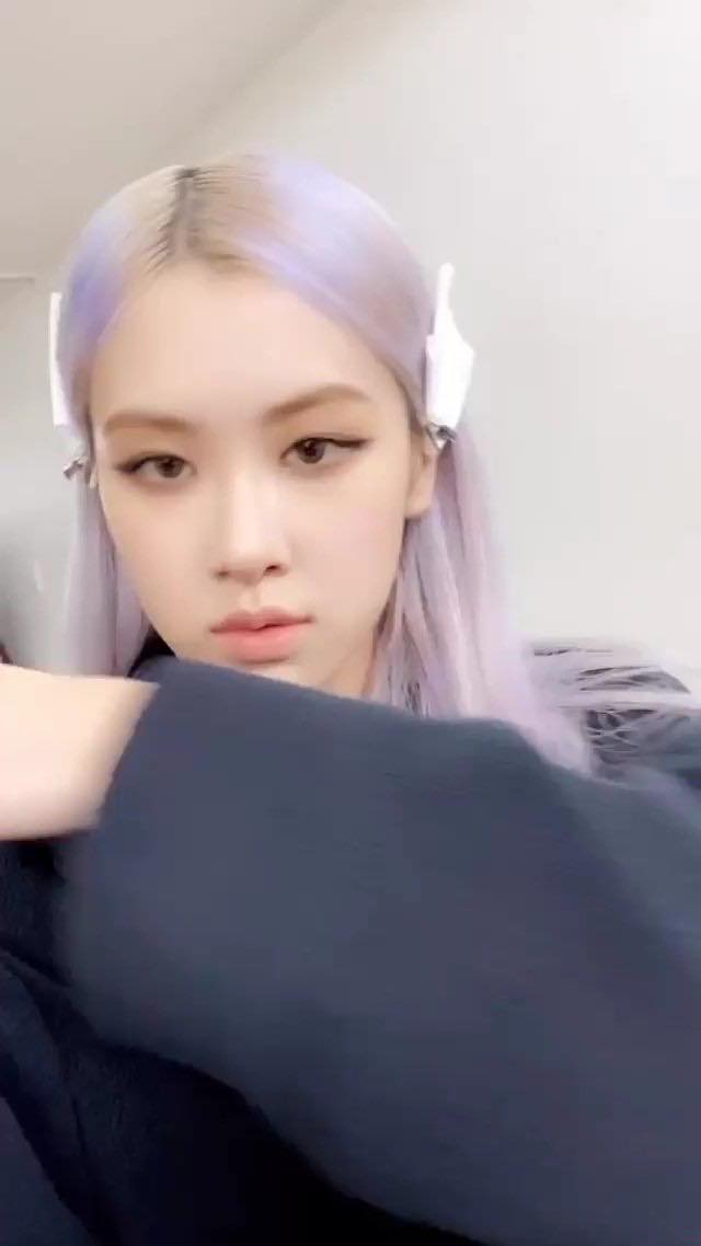 rose213