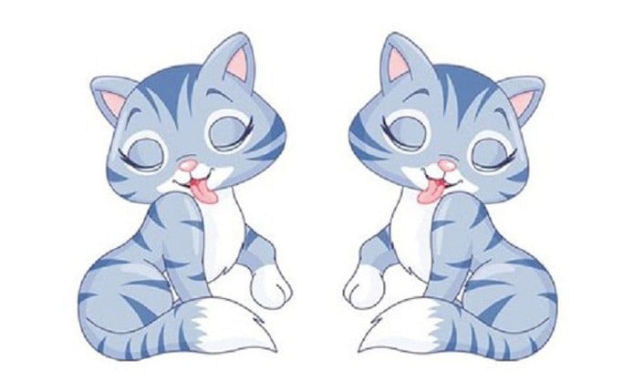 mao_1