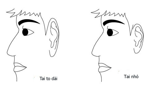 Tướng tai nói pên  tương lai của bạn