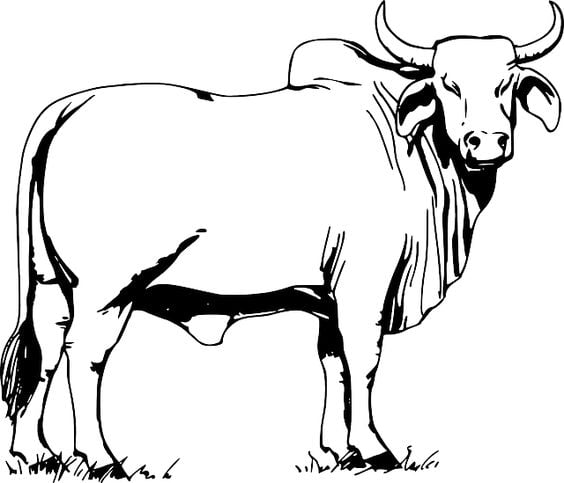 4-con-giap-thu-dai-03