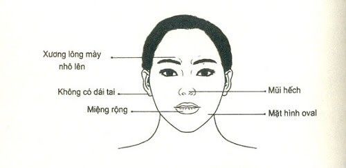 Phụ nữ mũi hếch hoang phí không giữ được tiền số khổ