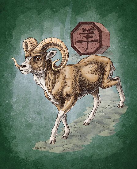 tu-vi-con-giap-02