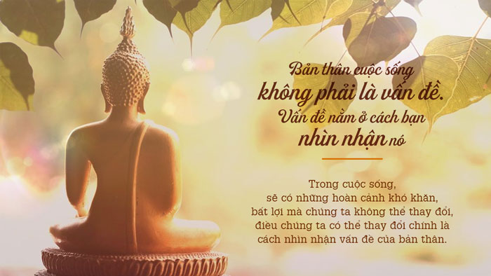 hphuc