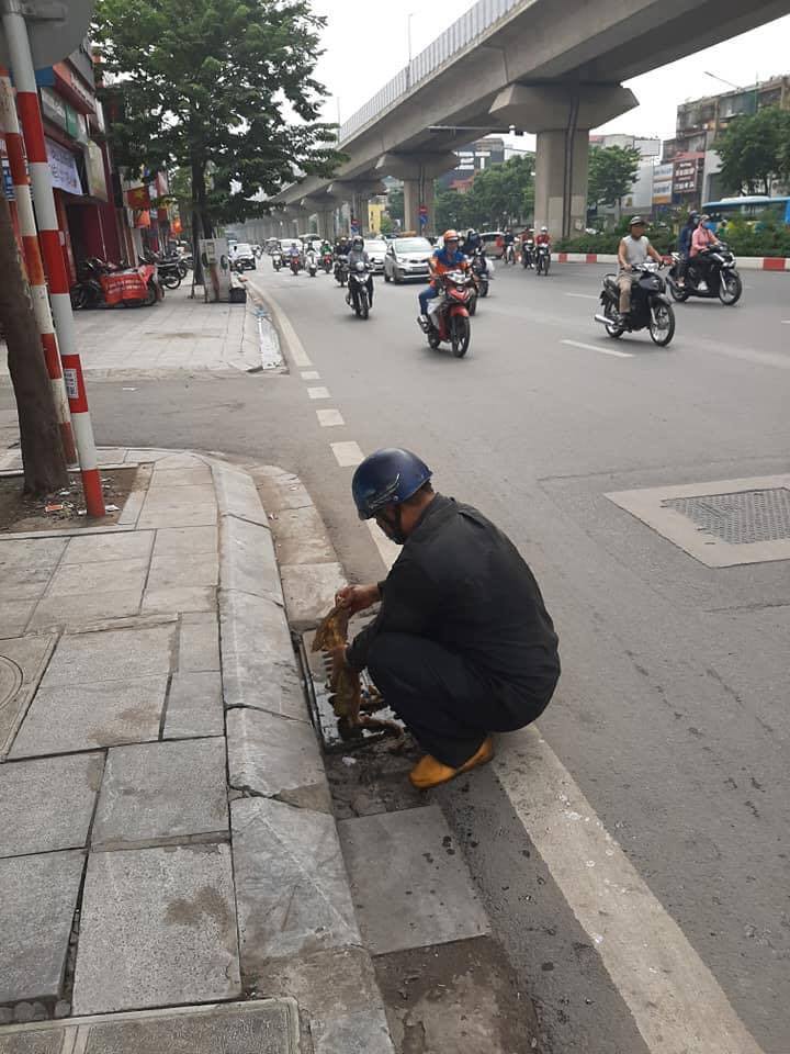dau_loang_3