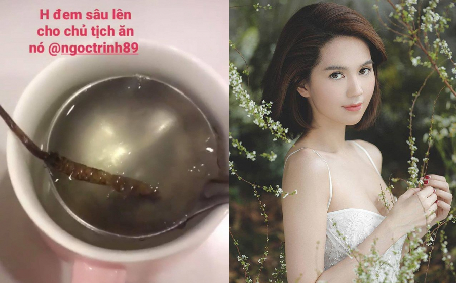 dong-trung-ha-thao-01