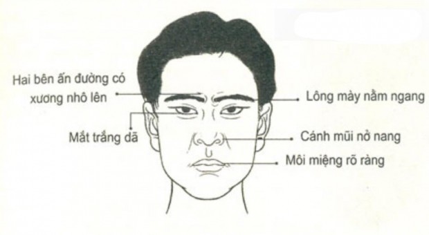 tuong-mat-dan-ong-co-phuc-03