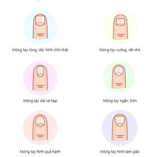 Hãy quan sát xem móng tay của mình thuộc kiểu nào.