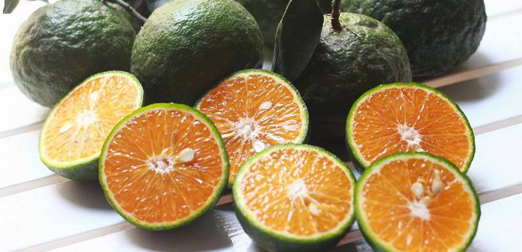 Bí quyết chọn cam sành ngon