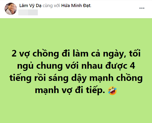lam-vy-da 2
