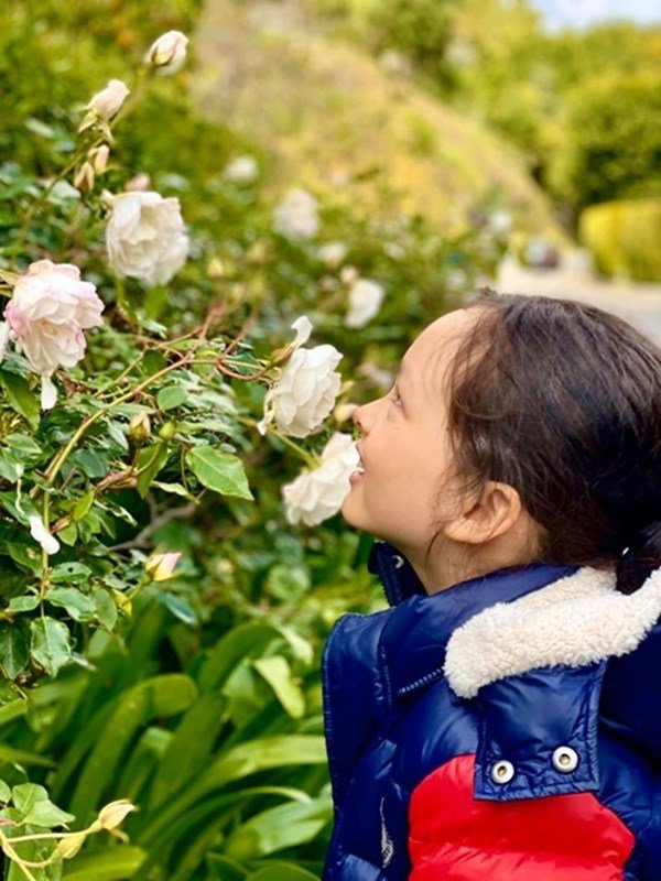 Khu vườn nhiều hoa