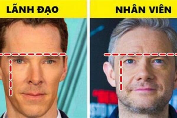Người đàn ông trán hẹp thường nghèo khổ