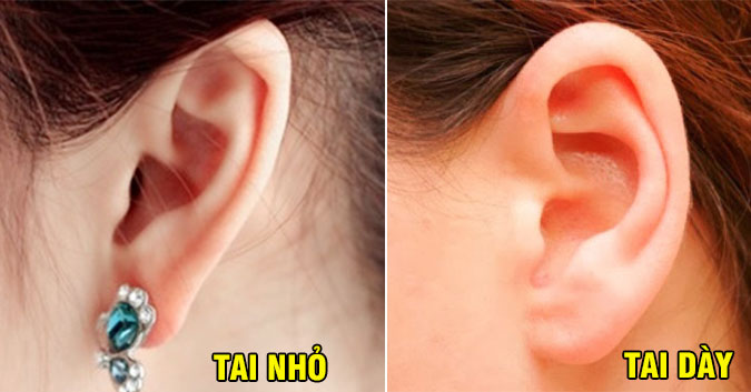 Tướng tai vất vả