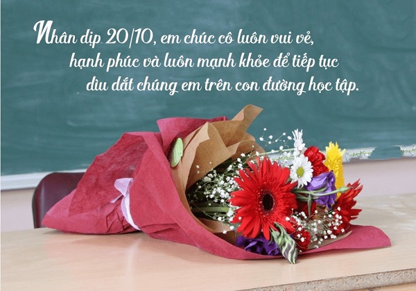 20_10_cho_co_giao