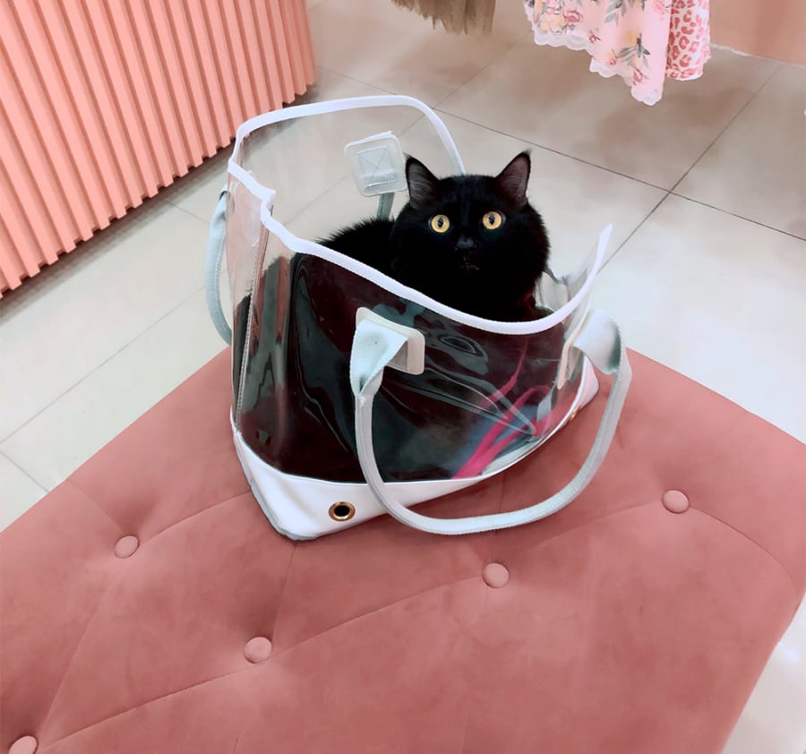 meo