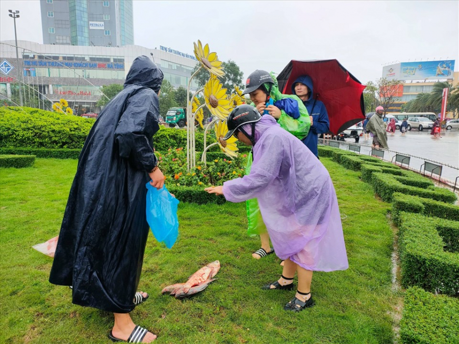 Ảnh: Lao động