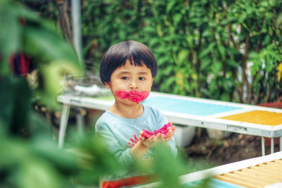 Hạnh phúc với Ngoan là mỗi ngày được chơi cùng bé Hạnh, chăm gà, trồng rau, nuôi cá,...  