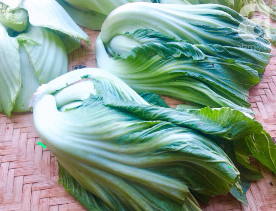 phan-biet-cac-loai-cai-07