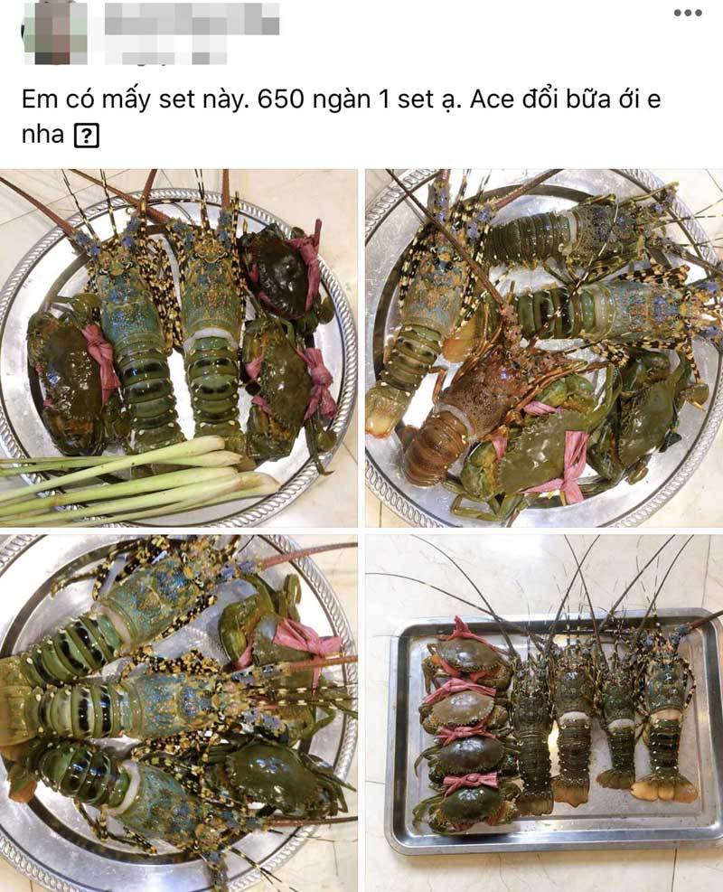 Hải sản cao cấp  giá rẻ, bán theo mâm (Ảnh: Vietnamnet)