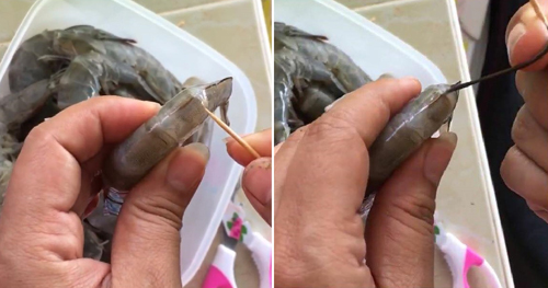 Chỉ bằng một chiếc tăm nhọn hoặc cây kim, bạn có thể lấy đường chỉ ở lưng tôm một cách đơn giản.
