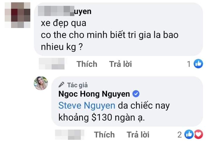 hong-ngoc 2