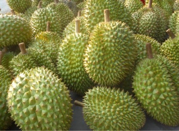 hoa-qua-thap-huong-ban-tho-02