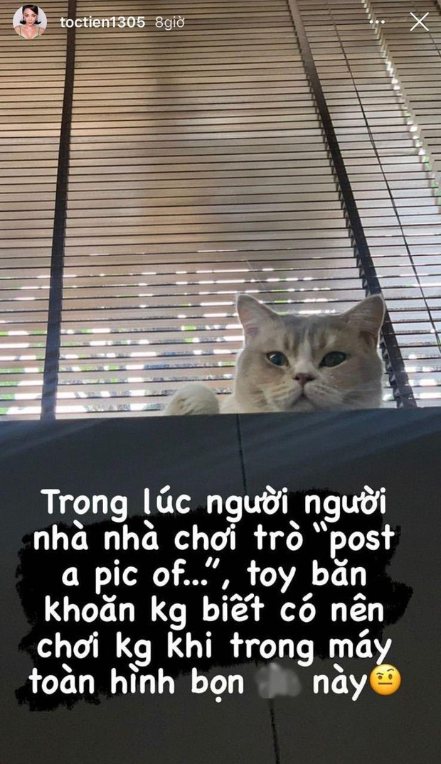 toc-tien1