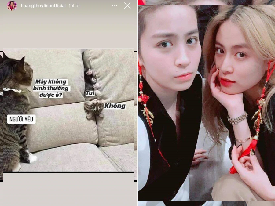 Trên trang cá nhân, Hoàng Thùy Linh cập nhật hình ảnh hai chú mèo với đoạn hội thoại: 