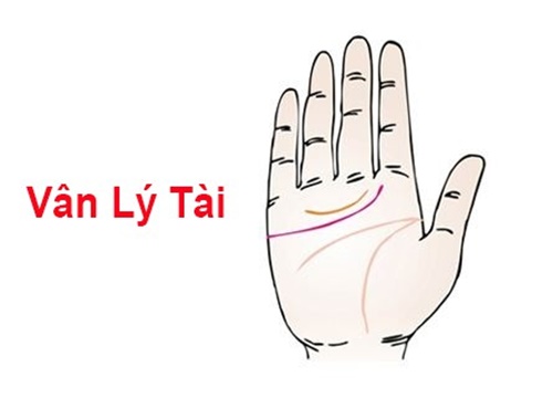 tuong-ban-tay-02