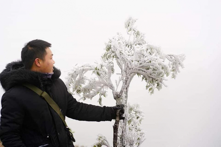 binh_lieu3