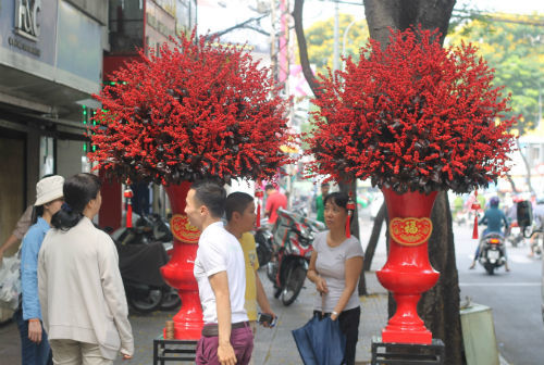 dao_dong1