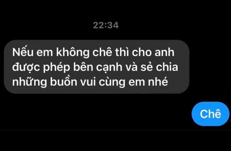 trang-tran 1