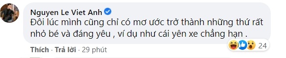 viet-anh 2