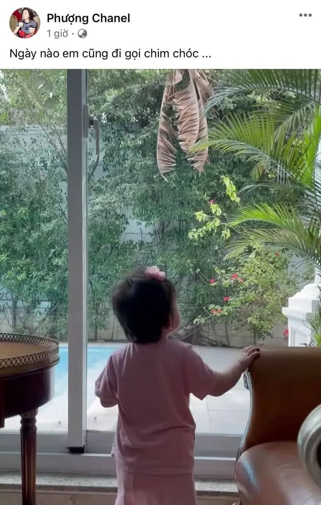 Động thái hiếm hoi của Phượng Chanel làm đông đảo khán giả đoán rằng đây chính là con gái đầu lòng của cô và Quách Ngọc Ngoan.