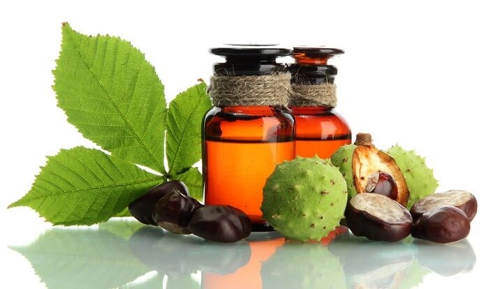Thành phần hạt dẻ ngựa có tác dụng giảm đau nhức và tê cứng chân hiệu quả