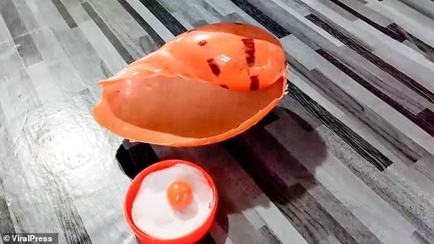 oc_luoc2