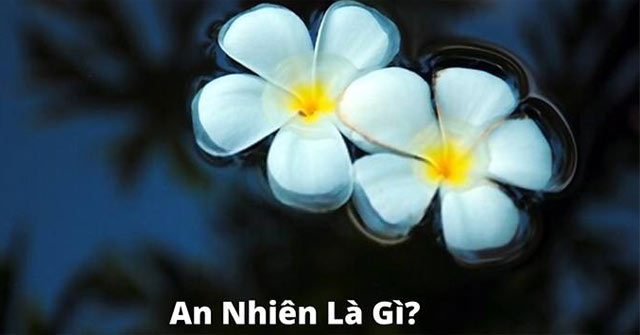 an-nhien-la-gi-640